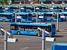 Бесплатная лекция о работе электробусов пройдет в Москве 19 сентября