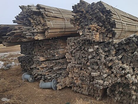 В Забайкалье пресечена деятельность банды, вывезшей лес на 1 млрд рублей