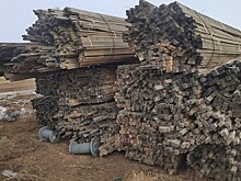 В Забайкалье пресечена деятельность банды, вывезшей лес на 1 млрд рублей