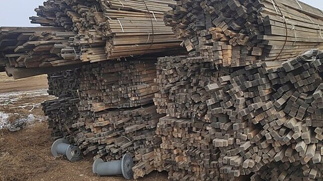 В Забайкалье пресечена деятельность банды, вывезшей лес на 1 млрд рублей