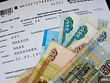 Челябинские депутаты-эсеры отчитались о доходах