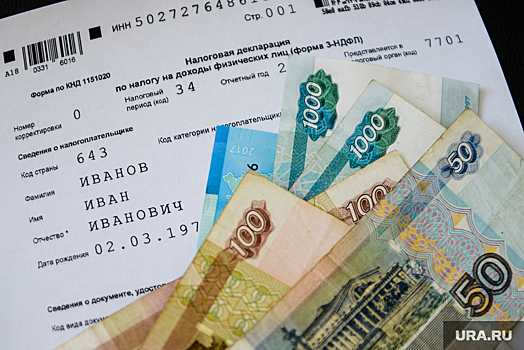 Челябинские депутаты-эсеры отчитались о доходах