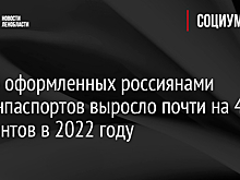 Число оформленных россиянами загранпаспортов выросло почти на 40 процентов в 2022 году