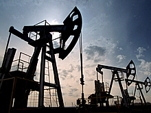 Названа возможная причина отказа индийской компании от нефти из России