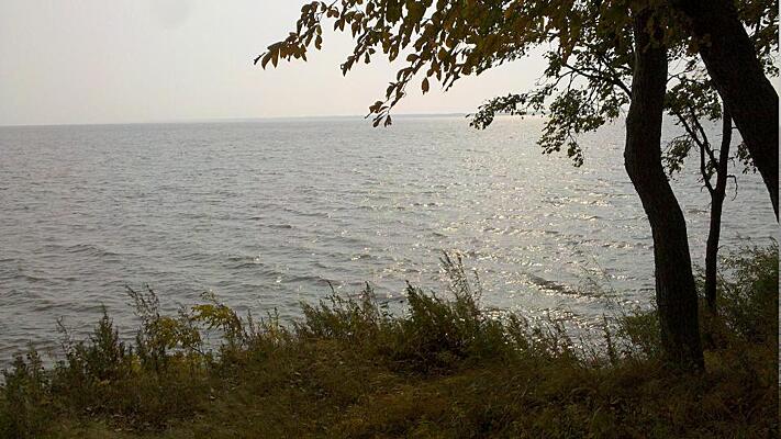 Вообще кошмар»: на видео сняли, что творит озеро Ханка в Приморье -  Рамблер/новости