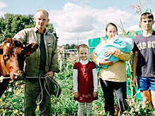 Многодетная семья в Приамурье за 5 лет создала молочную ферму