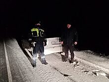 Автоинспекторы помогли замерзающим ночью на трассе ноябрьцам