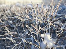 В Курганской области ожидается опасное метеорологическое явление