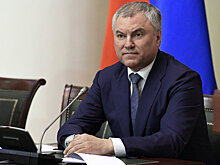 Володин предложил распространить программу "Безопасный город" на всю страну