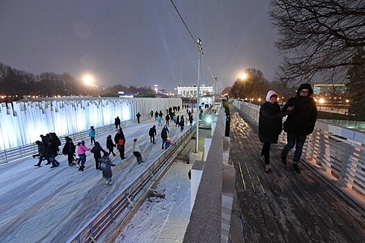 Устроитель ледовых катков требует взыскать с парка Горького 145 млн рублей