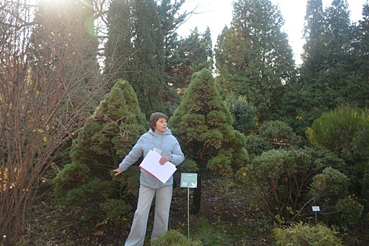 В Саратове открылся после реконструкции Ботанический сад