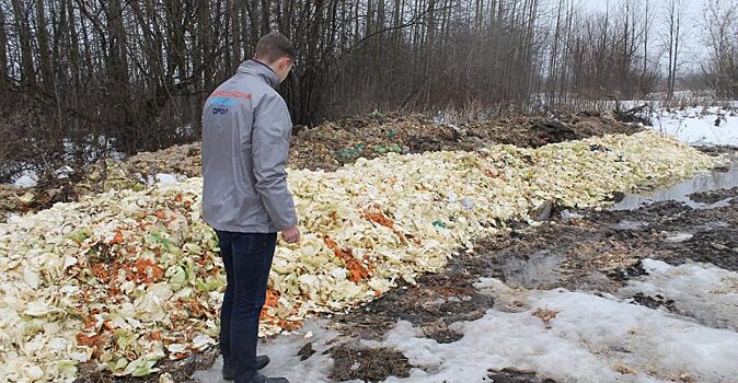 ОНФ показал фото гигантской свалки овощных отходов в Кировской области