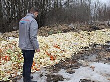 ОНФ показал фото гигантской свалки овощных отходов в Кировской области