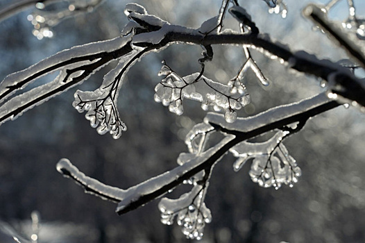 Самарскую область ждут три дня снега с дождем