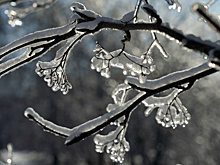 Самарскую область ждут три дня снега с дождем