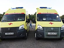 Дело об избиении реаниматолога шоуменом в Новосибирске возбудили спустя год