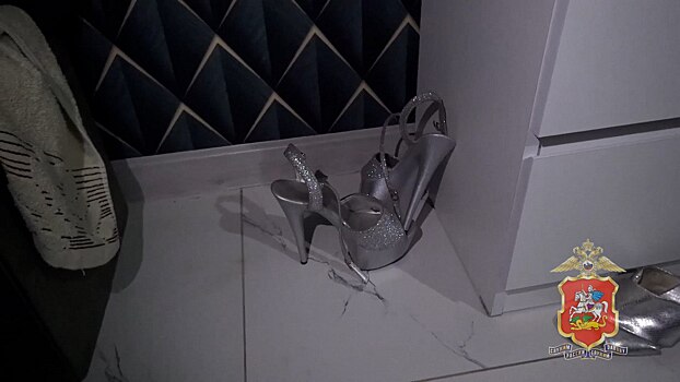 В Подмосковье пресечена деятельность массажного салона, где оказывались интимные услуги