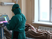 Оспа обезьян в России: опасность и угрозы вируса