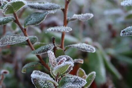 «Придет раньше времени». Синоптики сказали, что ждет россиян в сентябре
