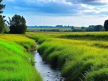 Производителей загрязняющих воду пестицидов хотят привлечь к финансированию затрат на мониторинг в ЕС