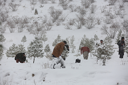 Жертвами зимних бурь в Афганистане стал 61 человек