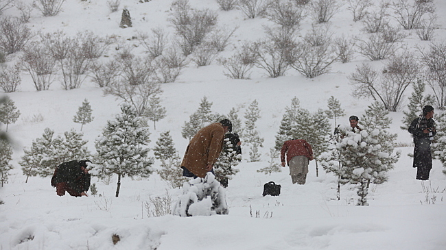 Жертвами зимних бурь в Афганистане стал 61 человек