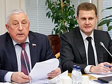В преддверии отчета Правительства РФ в Комитете по развитию Дальнего Востока и Арктики состоялась встреча с профильным министром