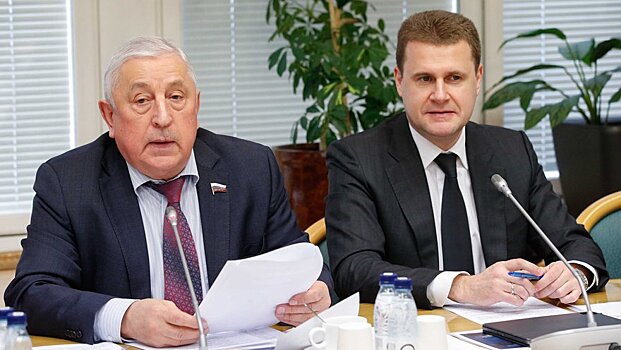 В преддверии отчета Правительства РФ в Комитете по развитию Дальнего Востока и Арктики состоялась встреча с профильным министром