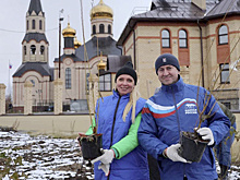 В Тарко-Сале высадили более 700 деревьев на территории Свято-Никольского храма