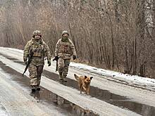 Способность Украины пополнять ряды ВСУ оценили