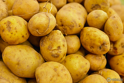 Врач раскрыла неожиданный вред картофеля