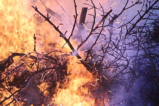 Леса горят в четырёх районах Красноярского края