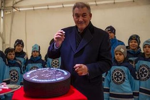 Шайбу, шайбу! В Новосибирске показали проект новой ледовой арены