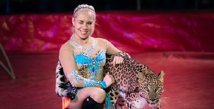Под купол пермского цирка поднимают леопарда. Общественность возмущена. Разбираемся, жестоко ли это