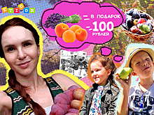 Как я научила детей бизнесу благодаря продаже фруктов из своего сада: колонка мамы