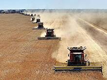 Минсельхоз дал прогноз сбора зерна в России