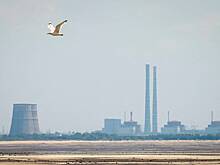 На Запорожской АЭС раскрыли обстановку после нарушения электроснабжения