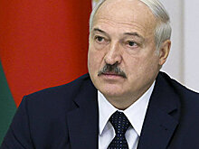 Лукашенко поручил организовать «зеленый коридор» для хасидов