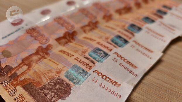 В Ижевске задержан 19-летний мошенник, оформивший займы на 60 человек через взломанные «Госуслуги»