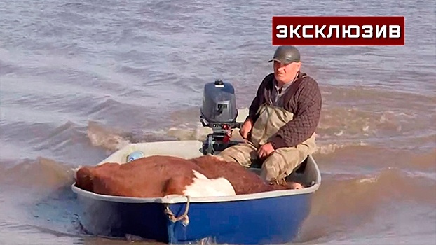 Оренбургские казаки показали, как спасают скот с затопленных ферм
