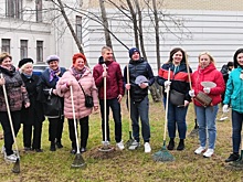 Городской субботник прошел в Центральном округе
