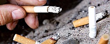 Врач Гуторова рассказала о риске снижения защитной функции поджелудочной у курильщиков