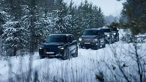 Для российских Haval, Tank, Ora и Wey запустят единое приложение