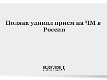 Поляка удивил прием на ЧМ в России