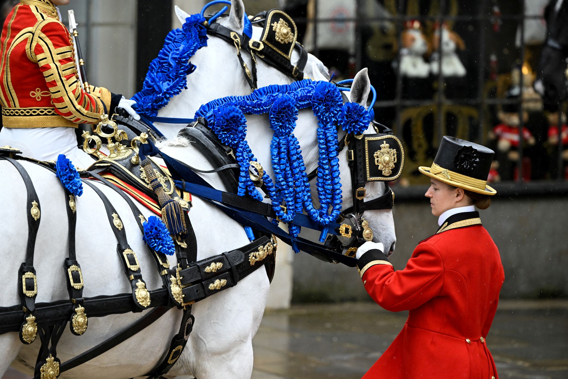 Испуганная лошадь врезалась в толпу в Лондоне во время коронации Карла III