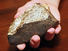 Мигранты в Приамурье нелегально добыли 17 кг золота