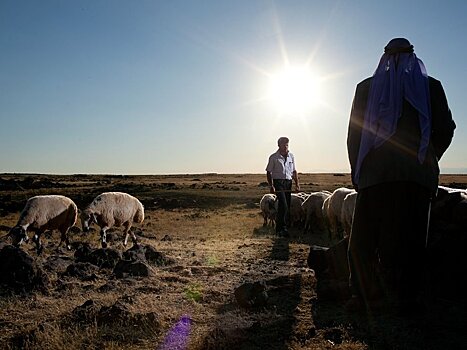 Накопление солей мочи животных в почве выдает в древних жителях Турции скотоводов
