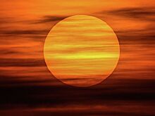 Аномальная погода стала причиной роста цен на продукты