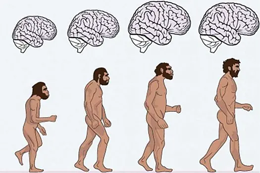 Гримасы эволюции: почему европейцы послушные и покладистые