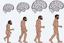 Гримасы эволюции: почему европейцы послушные и покладистые